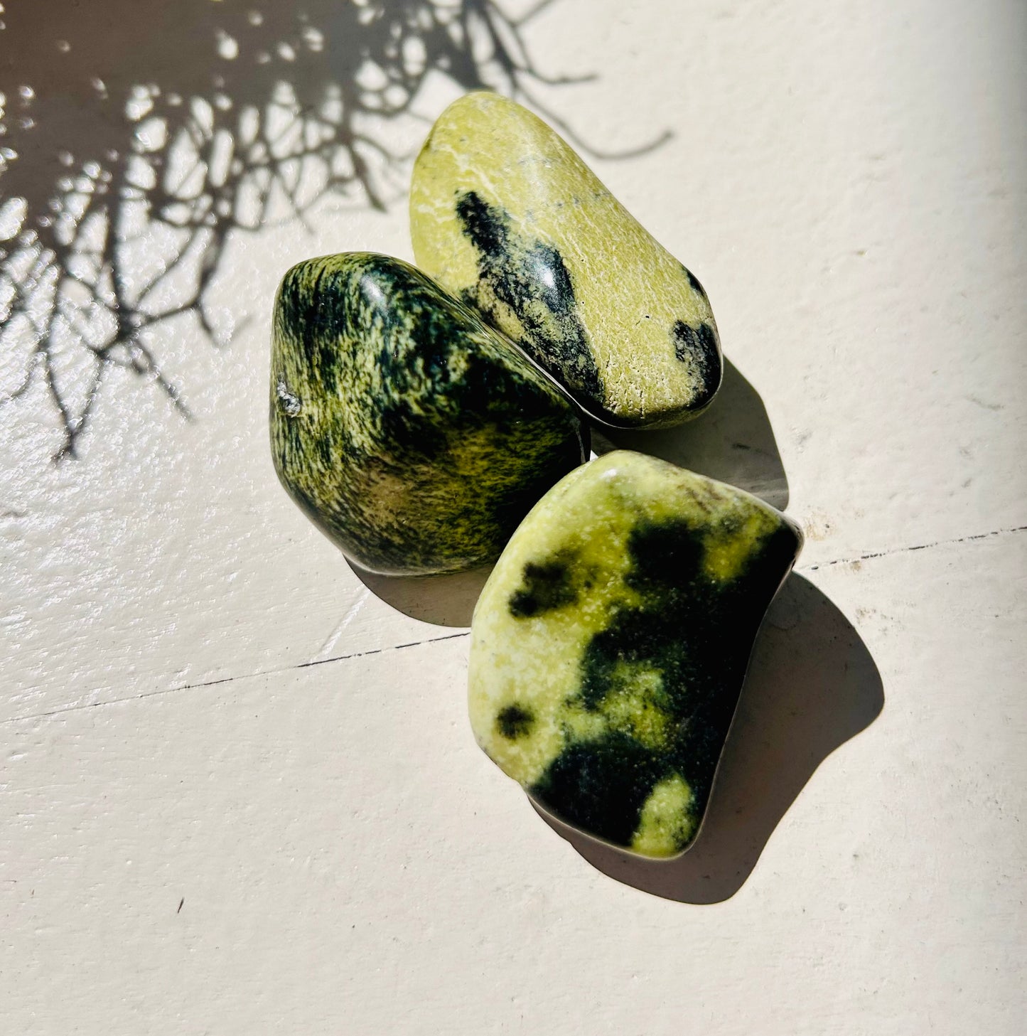 Chytha Trommelstein (Serpentin mit Chromit)