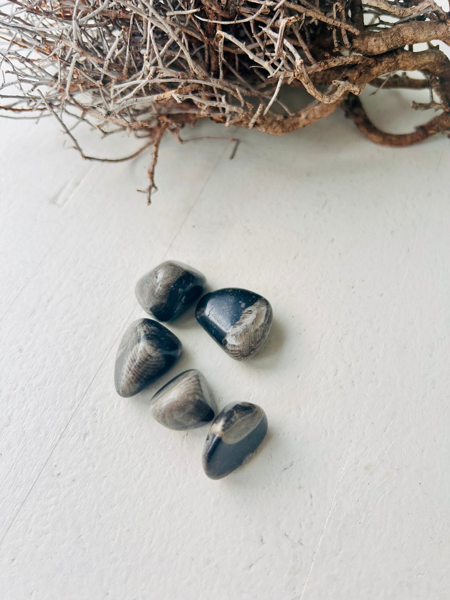 Frosterley Marble Trommelstein