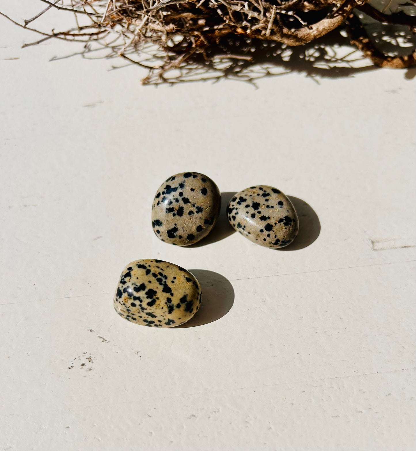 Dalmatiner Jaspis Trommelstein