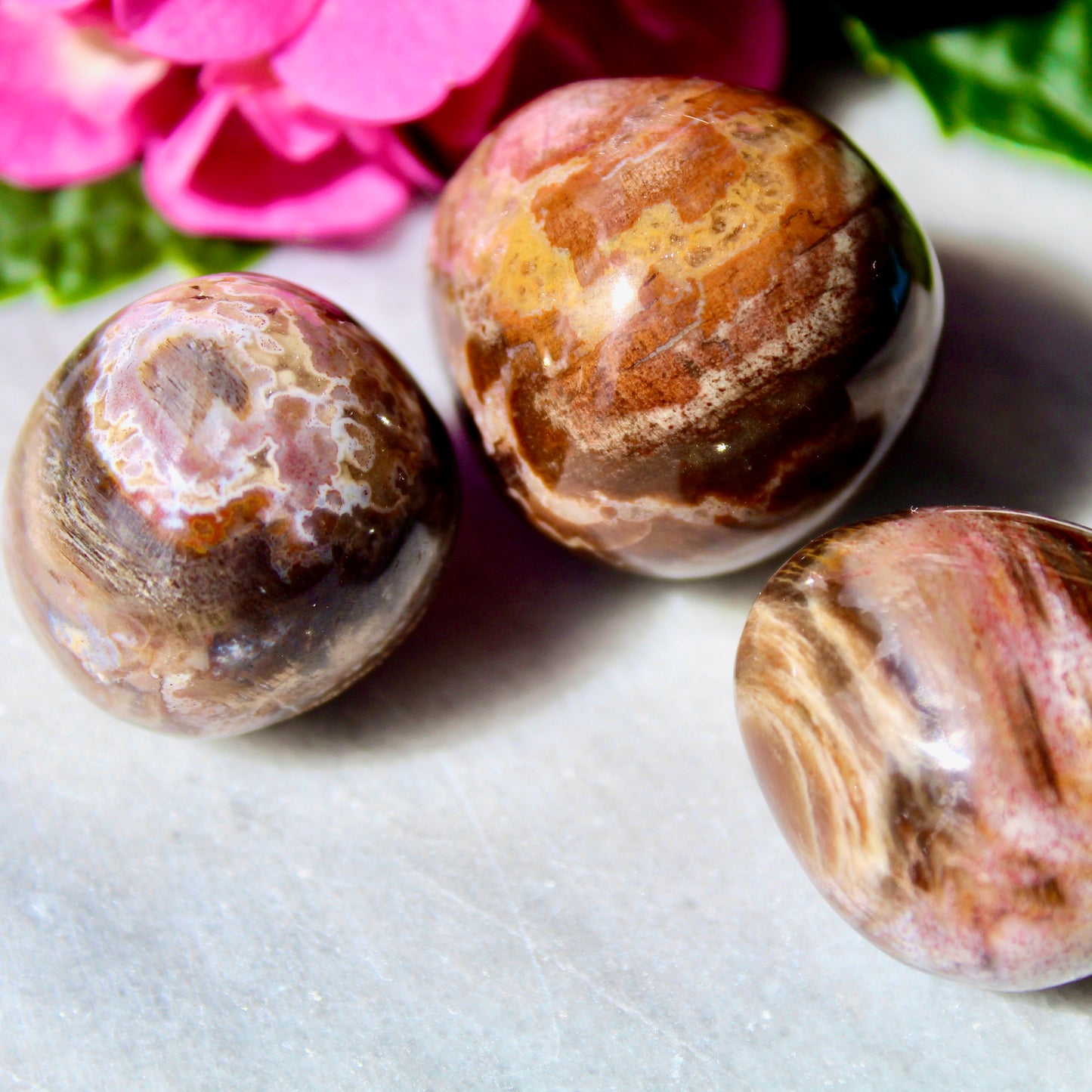 Versteinertes Holz Trommelstein