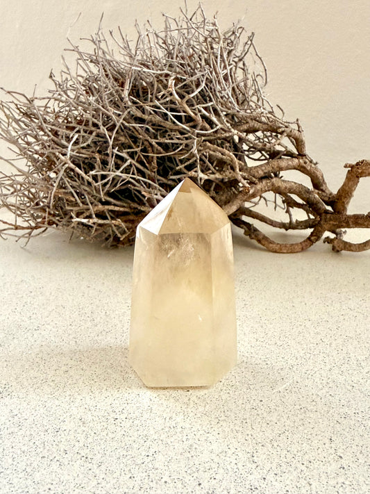 Citrin Spitzen | verschiedene Größen