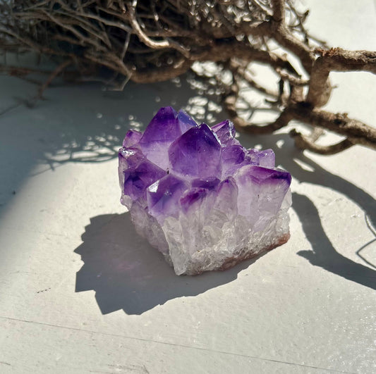 Amethyst Stufe - A Qualität aus Uruguay | Einzelstück