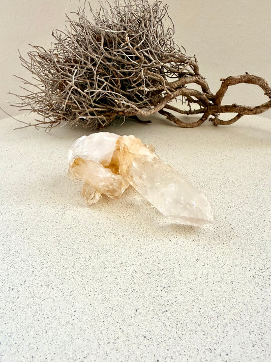 Bergkristall Spitze · Golden Healer · liegend · Einzelstücke