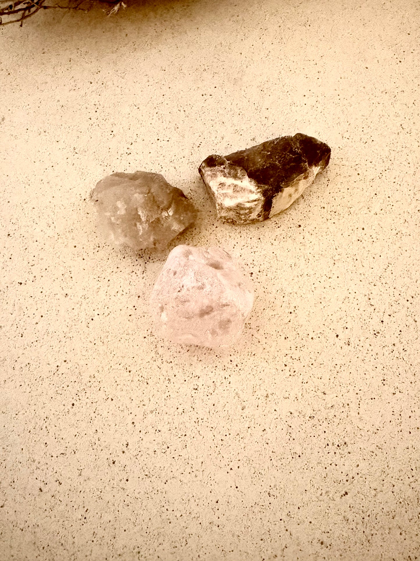 Let It Flow · Stay Rooted  Wasserstein-Set