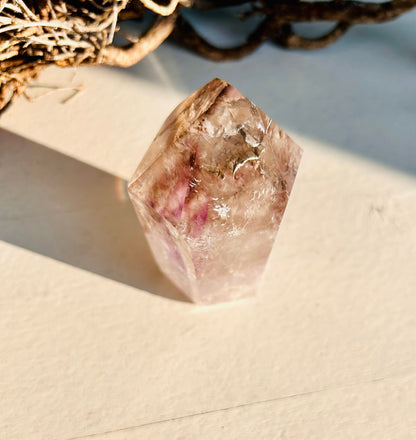 Rauchquarz/Amethyst Phantom | Unikat